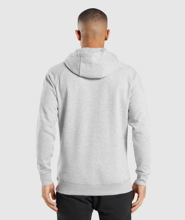 Panske Mikiny S Kapucňou Gymshark Crest Svetlo Siva | HF4350276